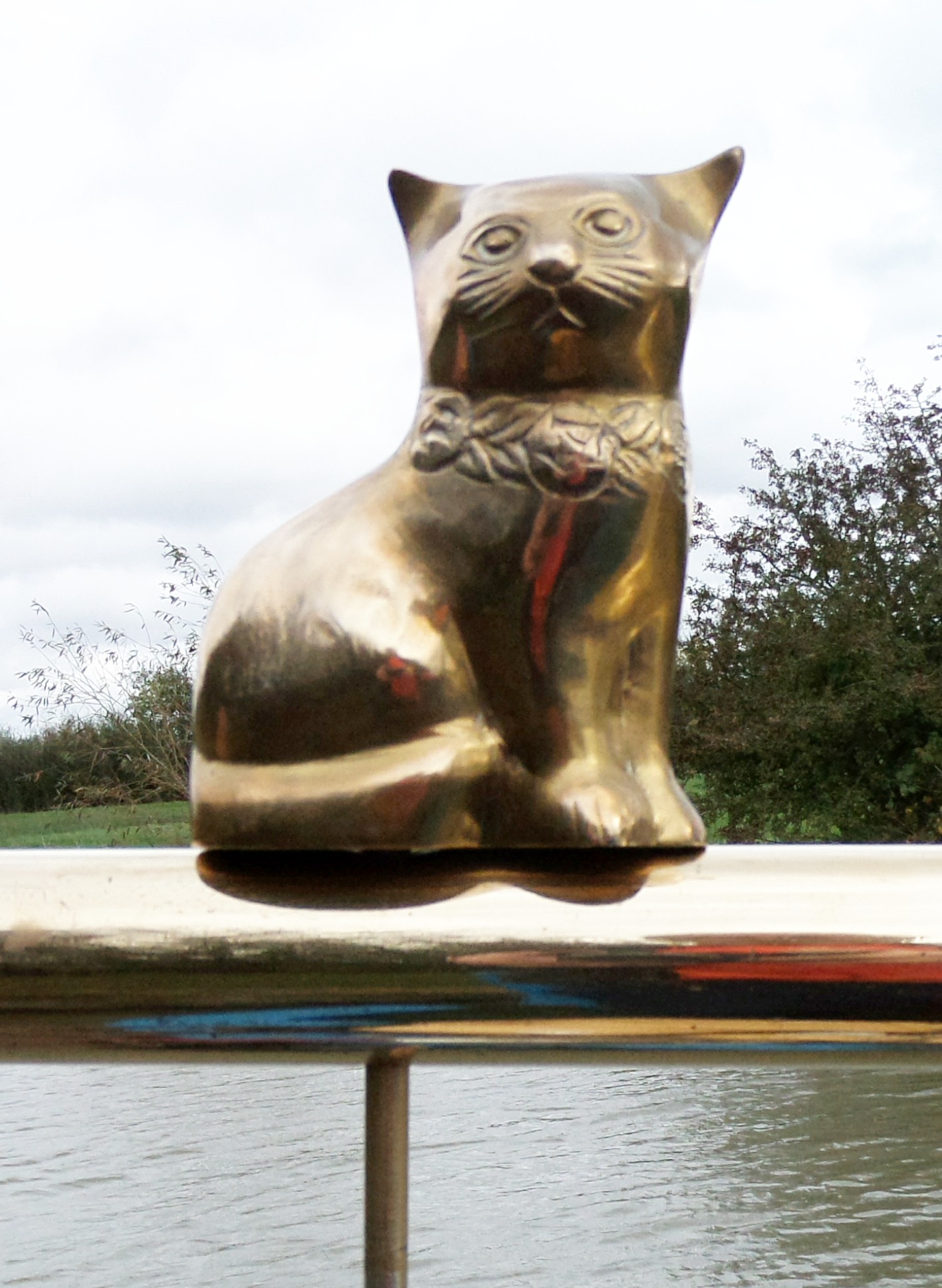 (image for) Cat Right Facing Tiller Pin